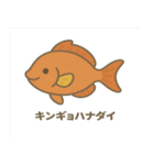 沖縄の動物たち(海の生き物)（個別スタンプ：24）