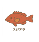沖縄の動物たち(海の生き物)（個別スタンプ：25）