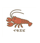 沖縄の動物たち(海の生き物)（個別スタンプ：27）