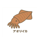沖縄の動物たち(海の生き物)（個別スタンプ：28）