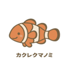沖縄の動物たち(海の生き物)（個別スタンプ：33）