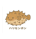 沖縄の動物たち(海の生き物)（個別スタンプ：34）