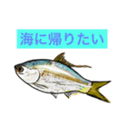まろノハシ大全拾10（個別スタンプ：34）