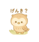 フクロウの1日 日本語（個別スタンプ：1）