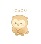 フクロウの1日 日本語（個別スタンプ：3）