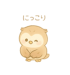 フクロウの1日 日本語（個別スタンプ：10）