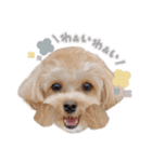 マルプージェマのよく使う言葉編（個別スタンプ：4）