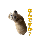 ハナちゃんの毎日使えるスタンプ（個別スタンプ：18）
