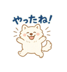 ふわもこサモエドのまいにちスタンプ（個別スタンプ：1）