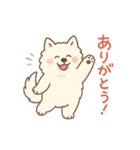 ふわもこサモエドのまいにちスタンプ（個別スタンプ：5）