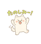 ふわもこサモエドのまいにちスタンプ（個別スタンプ：7）