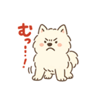 ふわもこサモエドのまいにちスタンプ（個別スタンプ：9）