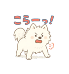 ふわもこサモエドのまいにちスタンプ（個別スタンプ：11）