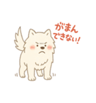 ふわもこサモエドのまいにちスタンプ（個別スタンプ：13）
