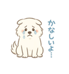 ふわもこサモエドのまいにちスタンプ（個別スタンプ：17）