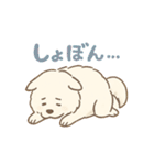 ふわもこサモエドのまいにちスタンプ（個別スタンプ：18）