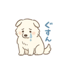 ふわもこサモエドのまいにちスタンプ（個別スタンプ：19）