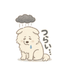 ふわもこサモエドのまいにちスタンプ（個別スタンプ：20）