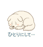 ふわもこサモエドのまいにちスタンプ（個別スタンプ：22）