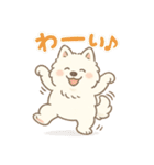 ふわもこサモエドのまいにちスタンプ（個別スタンプ：25）