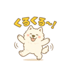 ふわもこサモエドのまいにちスタンプ（個別スタンプ：30）
