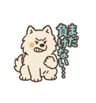 ふわもこサモエドのまいにちスタンプ（個別スタンプ：34）