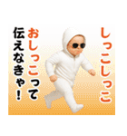 AIサングラスべイビー/エッホエッホミーム2（個別スタンプ：31）
