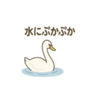 優しい白鳥（個別スタンプ：4）
