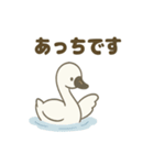 優しい白鳥（個別スタンプ：7）