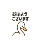 優しい白鳥（個別スタンプ：8）