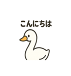 優しい白鳥（個別スタンプ：9）