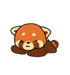 元気なレッサーパンダ楽しいパック（個別スタンプ：24）