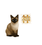 シールポイントのシャム猫日常のスタンプ（個別スタンプ：13）