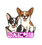 チワワの可愛いイラストスタンプ（個別スタンプ：2）