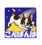 チワワの可愛いイラストスタンプ（個別スタンプ：3）
