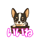 チワワの可愛いイラストスタンプ（個別スタンプ：7）