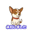 チワワの可愛いイラストスタンプ（個別スタンプ：9）