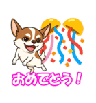チワワの可愛いイラストスタンプ（個別スタンプ：12）