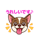 チワワの可愛いイラストスタンプ（個別スタンプ：16）