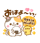 年中使える♡ねこねこにゃんこ（個別スタンプ：3）