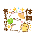 年中使える♡ねこねこにゃんこ（個別スタンプ：8）