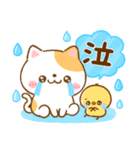 年中使える♡ねこねこにゃんこ（個別スタンプ：19）