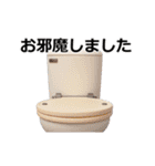 動く 3D擦れうさぎ（個別スタンプ：24）