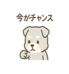 じわシュナの静かなる闘志スタンプ（個別スタンプ：2）