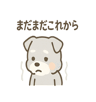 じわシュナの静かなる闘志スタンプ（個別スタンプ：7）
