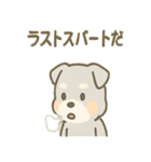 じわシュナの静かなる闘志スタンプ（個別スタンプ：17）