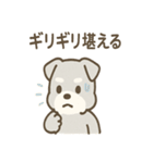 じわシュナの静かなる闘志スタンプ（個別スタンプ：26）