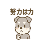 じわシュナの内に秘めた毎日スタンプ（個別スタンプ：11）