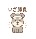 じわシュナの内に秘めた毎日スタンプ（個別スタンプ：28）
