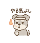 じわシュナの内に秘めた毎日スタンプ（個別スタンプ：34）